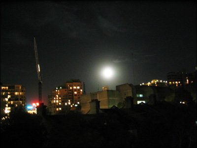sydney at night