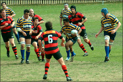 rugby at sydney uni