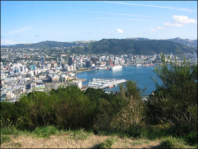 view from mount victoria lookout