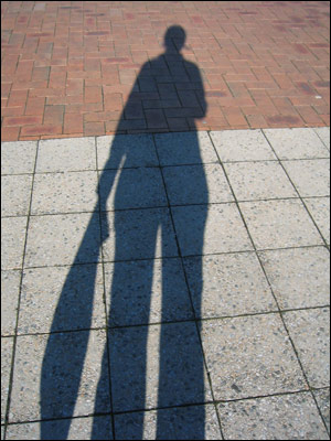 shadow at te papa