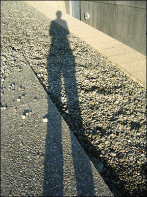 shadow near te papa
