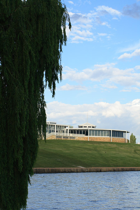 weeping willow and building