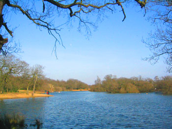 epping forest